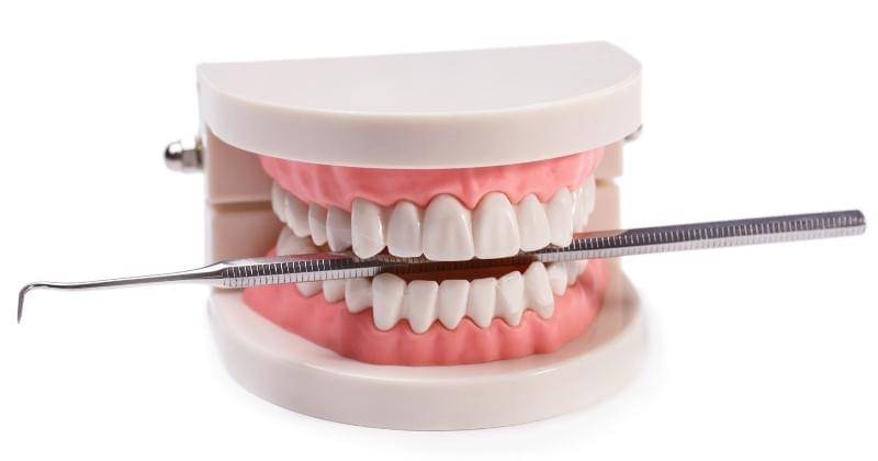 Freepik/Racool_studio